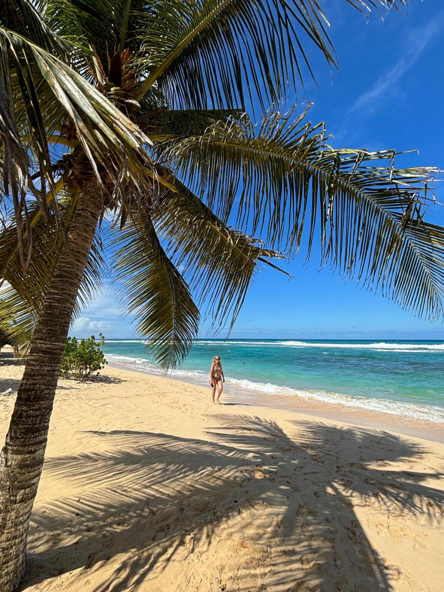 La Maison Creole Du Flamboyant - Proche Des Plages Anse-Bertrand Bagian luar foto