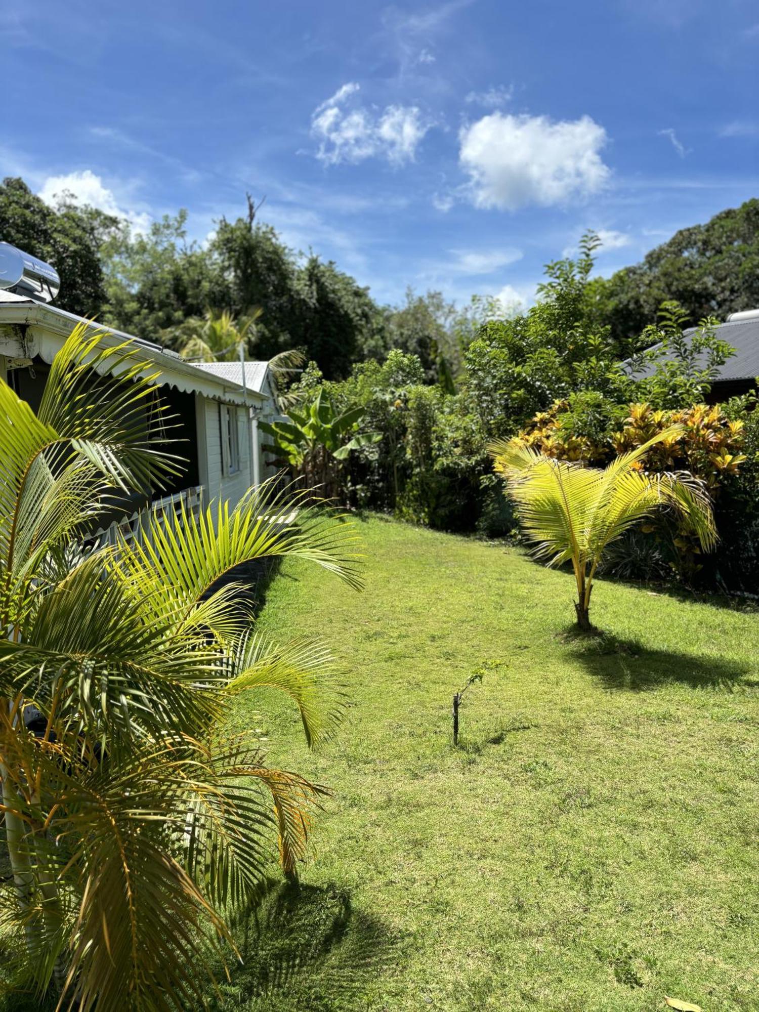 La Maison Creole Du Flamboyant - Proche Des Plages Anse-Bertrand Bagian luar foto