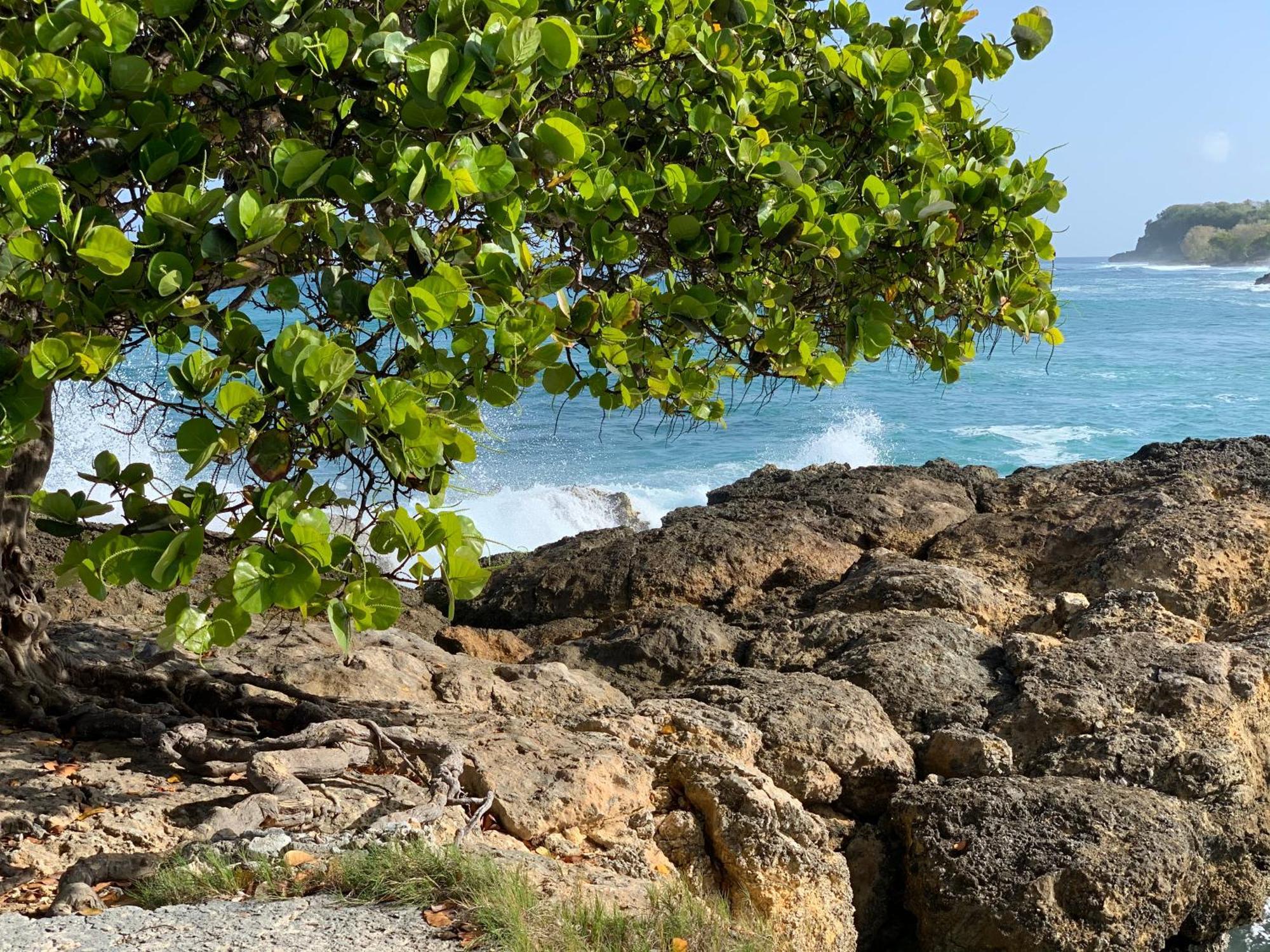 La Maison Creole Du Flamboyant - Proche Des Plages Anse-Bertrand Bagian luar foto